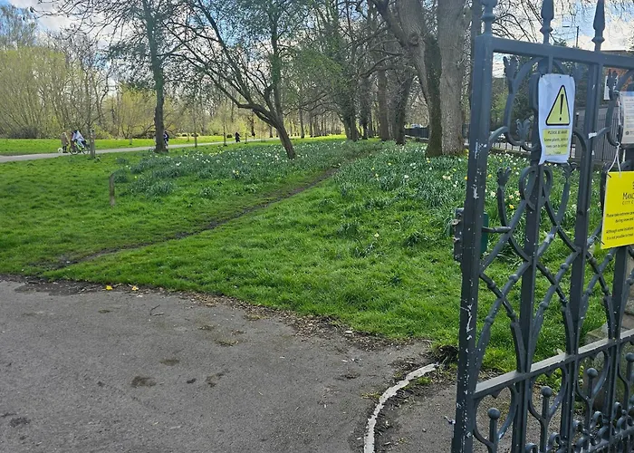 Alexandra Park