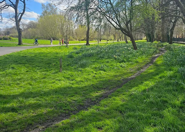 Alexandra Park